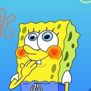 Meet your Posher, Tracey